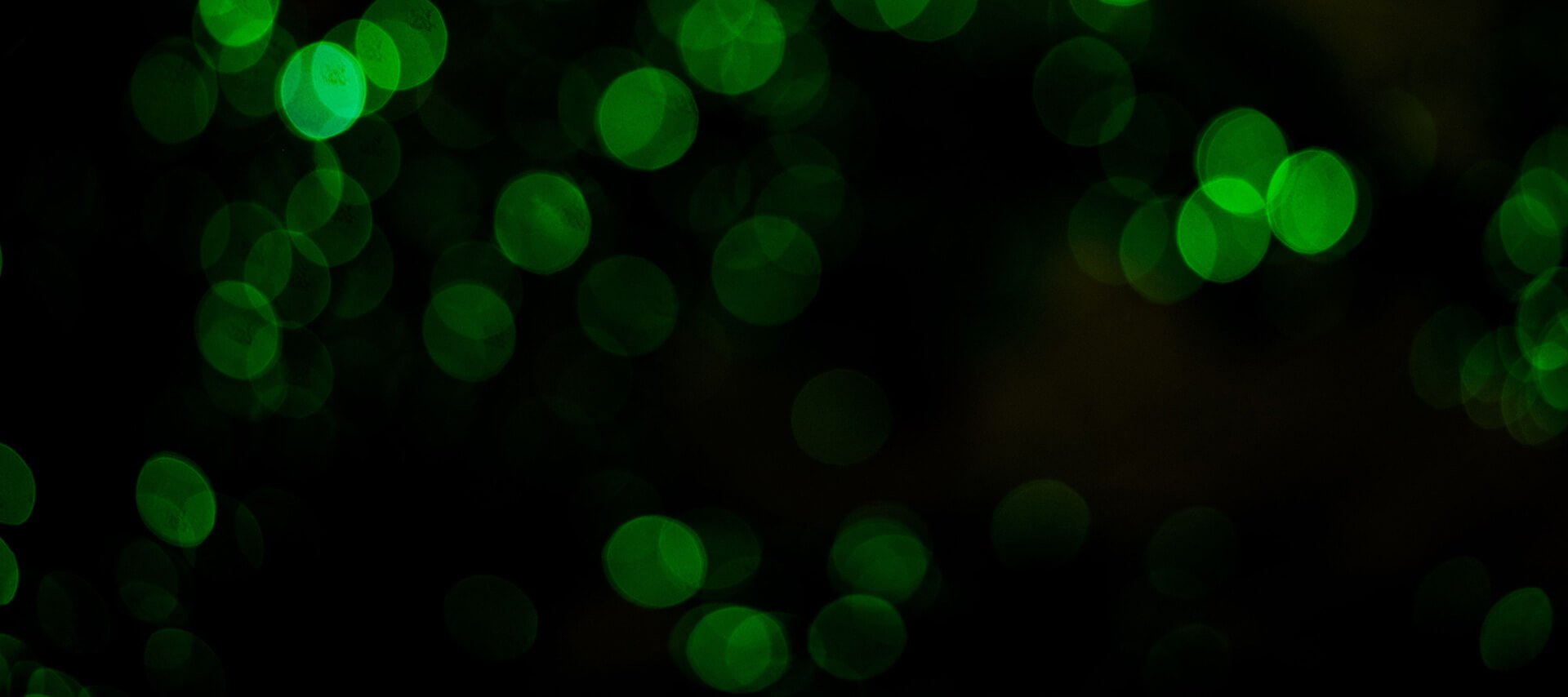 Background Green